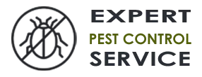 Pest Control Exterminator  Margate FL